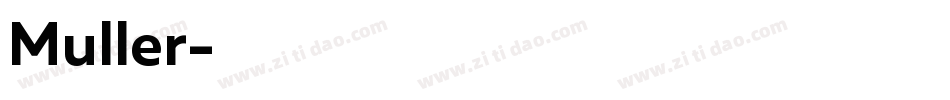 Muller字体转换