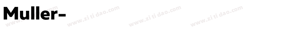 Muller字体转换