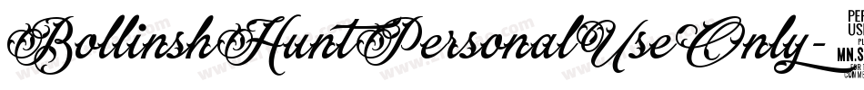 BollinshHuntPersonalUseOnly-1GP9Z字体转换