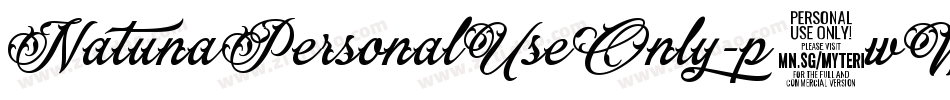 NatunaPersonalUseOnly-p7wWD字体转换