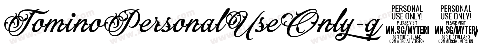 TominoPersonalUseOnly-q53x字体转换