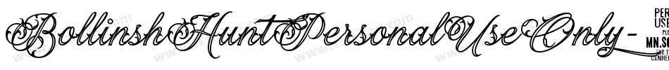 BollinshHuntPersonalUseOnly-1GP9Z字体转换