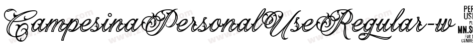 CampesinaPersonalUseRegular-w13Pw字体转换 CampesinaPersonalUseRegular-w13Pw字体转换
