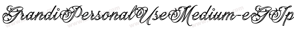 GrandiPersonalUseMedium-eGJp字体转换 GrandiPersonalUseMedium-eGJp字体转换