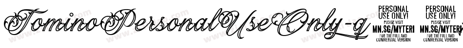 TominoPersonalUseOnly-q53x字体转换