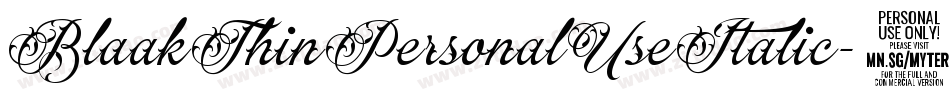 BlaakThinPersonalUseItalic-1Wrg字体转换 BlaakThinPersonalUseItalic-1Wrg字体转换