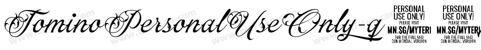 TominoPersonalUseOnly-q53x字体转换