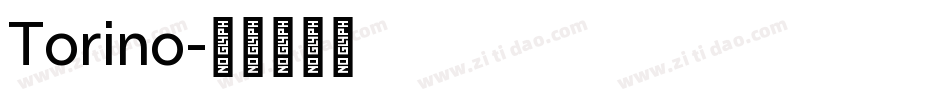 Torino字体转换