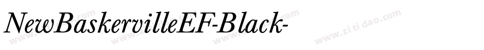 NewBaskervilleEF-Black字体转换