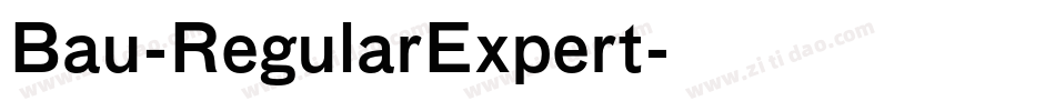 Bau-RegularExpert字体转换