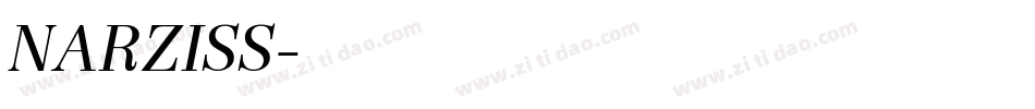 NARZISS字体转换