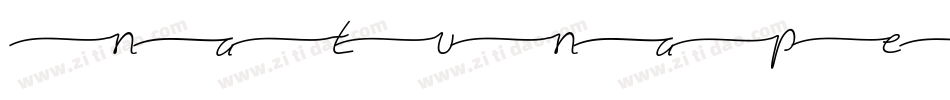 NatunaPersonalUseOnly-p7wWD字体转换