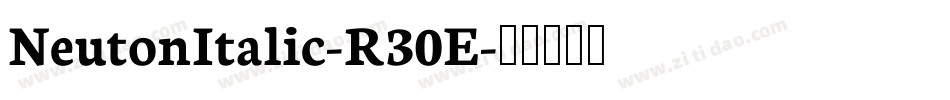 NeutonItalic-R30E字体转换