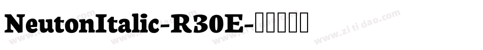 NeutonItalic-R30E字体转换