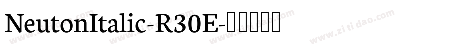 NeutonItalic-R30E字体转换