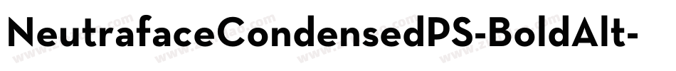 NeutrafaceCondensedPS-BoldAlt字体转换