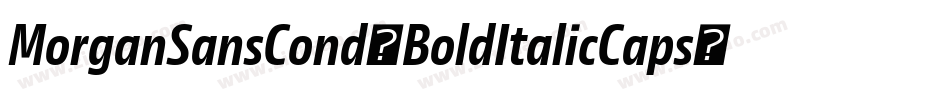 MorganSansCond-BoldItalicCaps字体转换