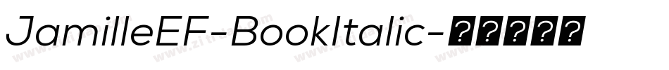 JamilleEF-BookItalic字体转换