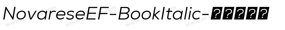 NovareseEF-BookItalic字体转换