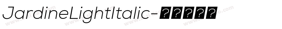 JardineLightItalic字体转换