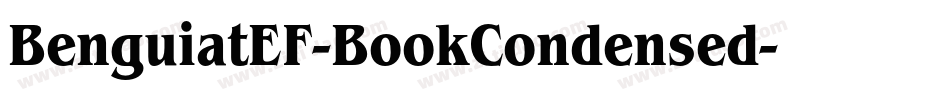 BenguiatEF-BookCondensed字体转换