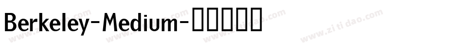 Berkeley-Medium字体转换