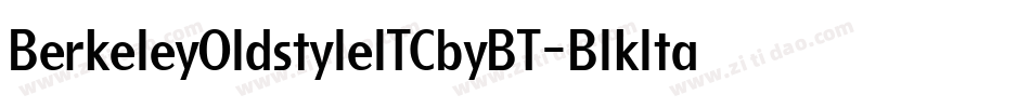 BerkeleyOldstyleITCbyBT-BlkItal字体转换