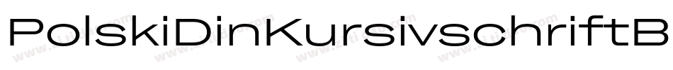 PolskiDinKursivschriftBreit-KwDX字体转换