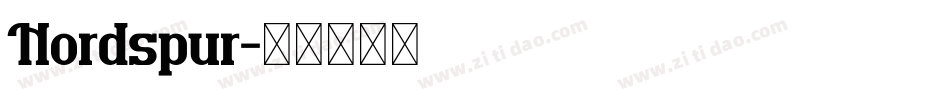 Nordspur字体转换