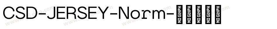 CSD-JERSEY-Norm字体转换