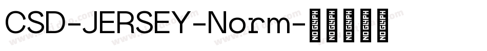 CSD-JERSEY-Norm字体转换