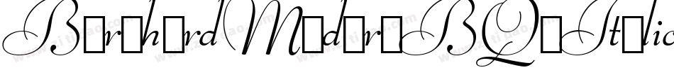 BernhardModernBQ-Italic字体转换