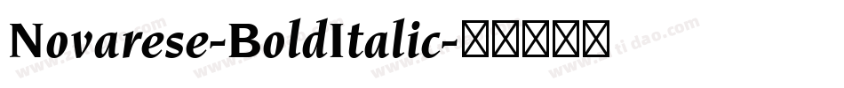 Novarese-BoldItalic字体转换