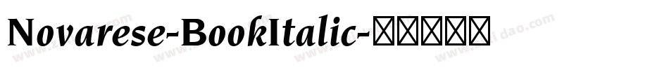 Novarese-BookItalic字体转换