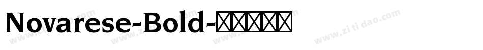 Novarese-Bold字体转换