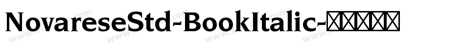 NovareseStd-BookItalic字体转换