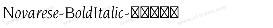 Novarese-BoldItalic字体转换