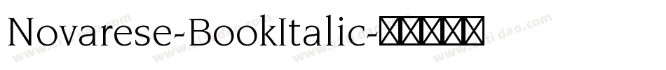 Novarese-BookItalic字体转换