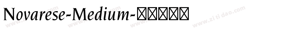 Novarese-Medium字体转换