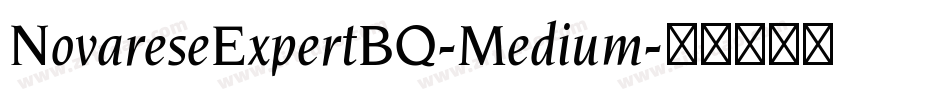 NovareseExpertBQ-Medium字体转换