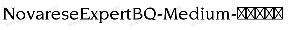 NovareseExpertBQ-Medium字体转换