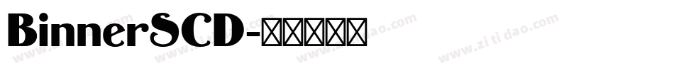 BinnerSCD字体转换