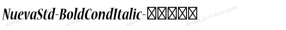 NuevaStd-BoldCondItalic字体转换