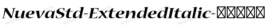 NuevaStd-ExtendedItalic字体转换