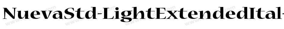 NuevaStd-LightExtendedItal字体转换