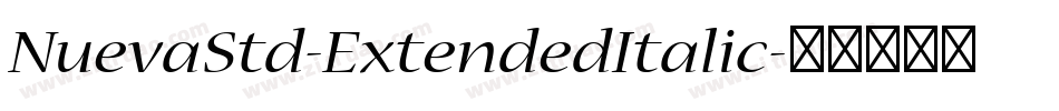 NuevaStd-ExtendedItalic字体转换
