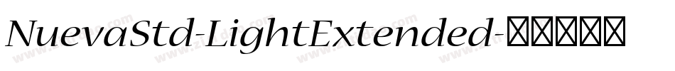 NuevaStd-LightExtended字体转换