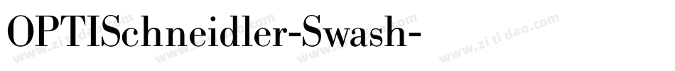OPTISchneidler-Swash字体转换