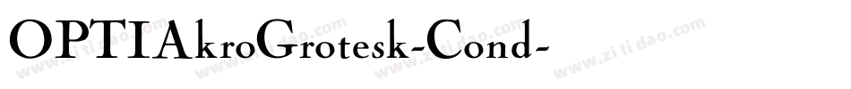 OPTIAkroGrotesk-Cond字体转换