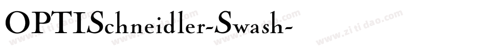 OPTISchneidler-Swash字体转换